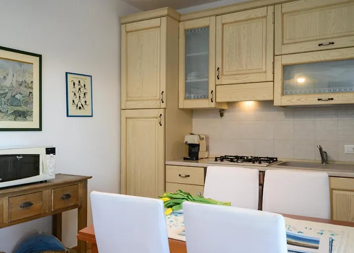Myrsine 54 - Klodge Olbia